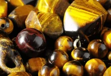 2 Tigrove Oko Divovizhni Vlastivosti