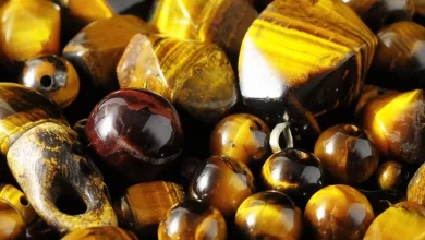 2 Tigrove Oko Divovizhni Vlastivosti