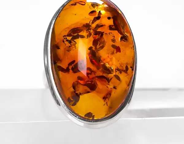 6154911591 W600 H600 6154911591