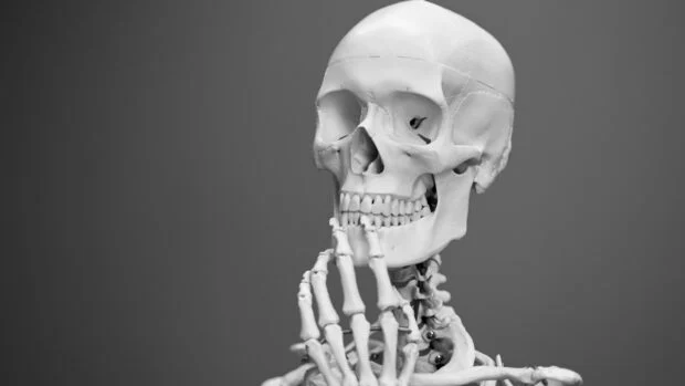 Skeleton 620x349 1