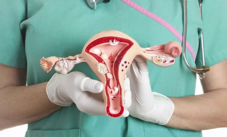 1722508964 Unnamed 8