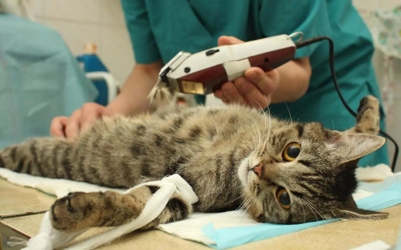 281 205b2eeb3ed85bd3e530fa9bffac6b15