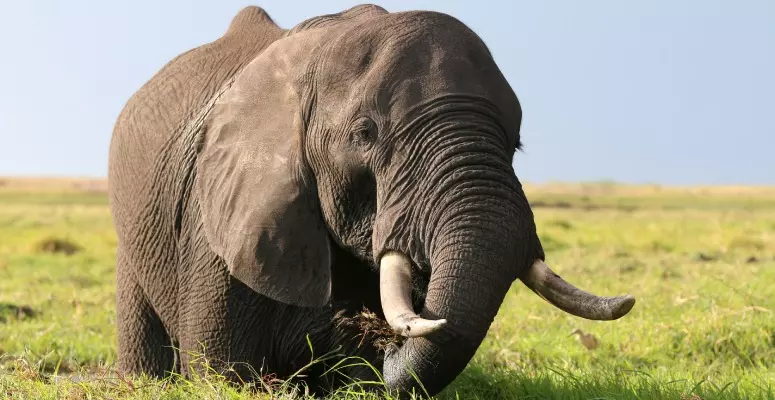 6abeee8 Depositphotos 78281126 L 1 