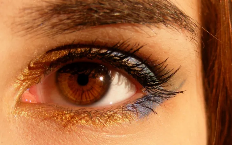 Ndss6yvebtgmny1qonmjum72wnr0xiafc4ucioli