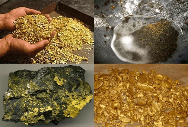 Skolko Stoit Gram Zolota