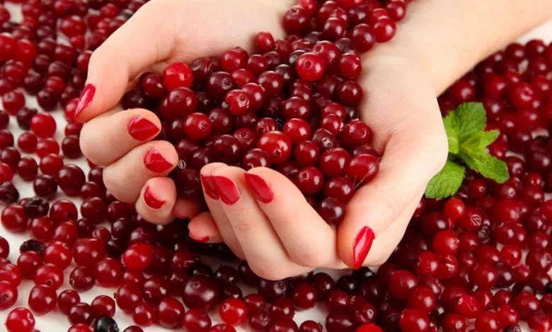 Sousy Iz Sliv Populyarnye Recepty I Ispolzovanie V Kulinarii 19