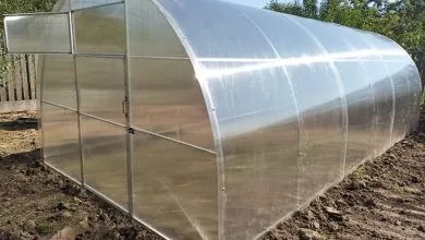 Tepliczya Ideal 3h6 Z Polikarbonatu