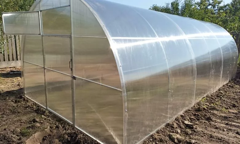 Tepliczya Ideal 3h6 Z Polikarbonatu